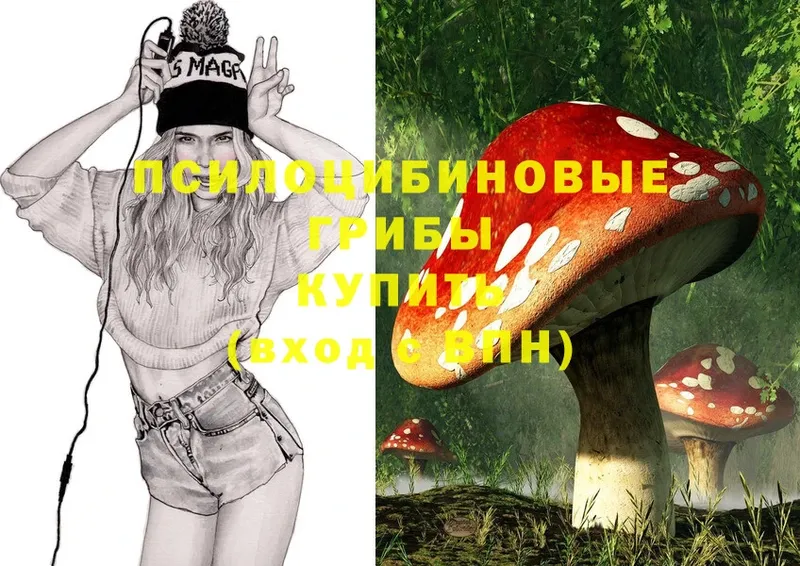 Псилоцибиновые грибы Psilocybine cubensis  Скопин 